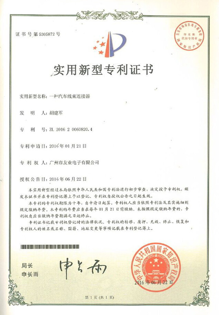 Патентованная