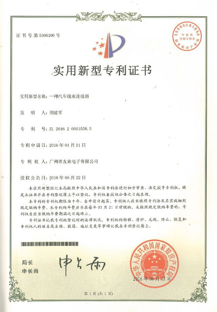 Патентованная