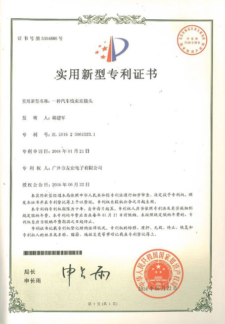 Патентованная