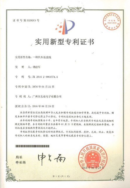 Патентованная